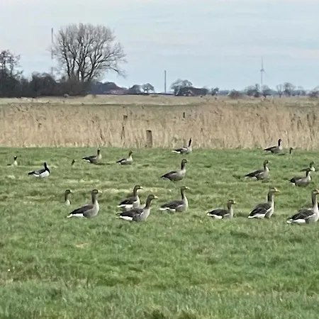 Ferienwohnung Trekvogels Utkiek Dornum Exterior foto